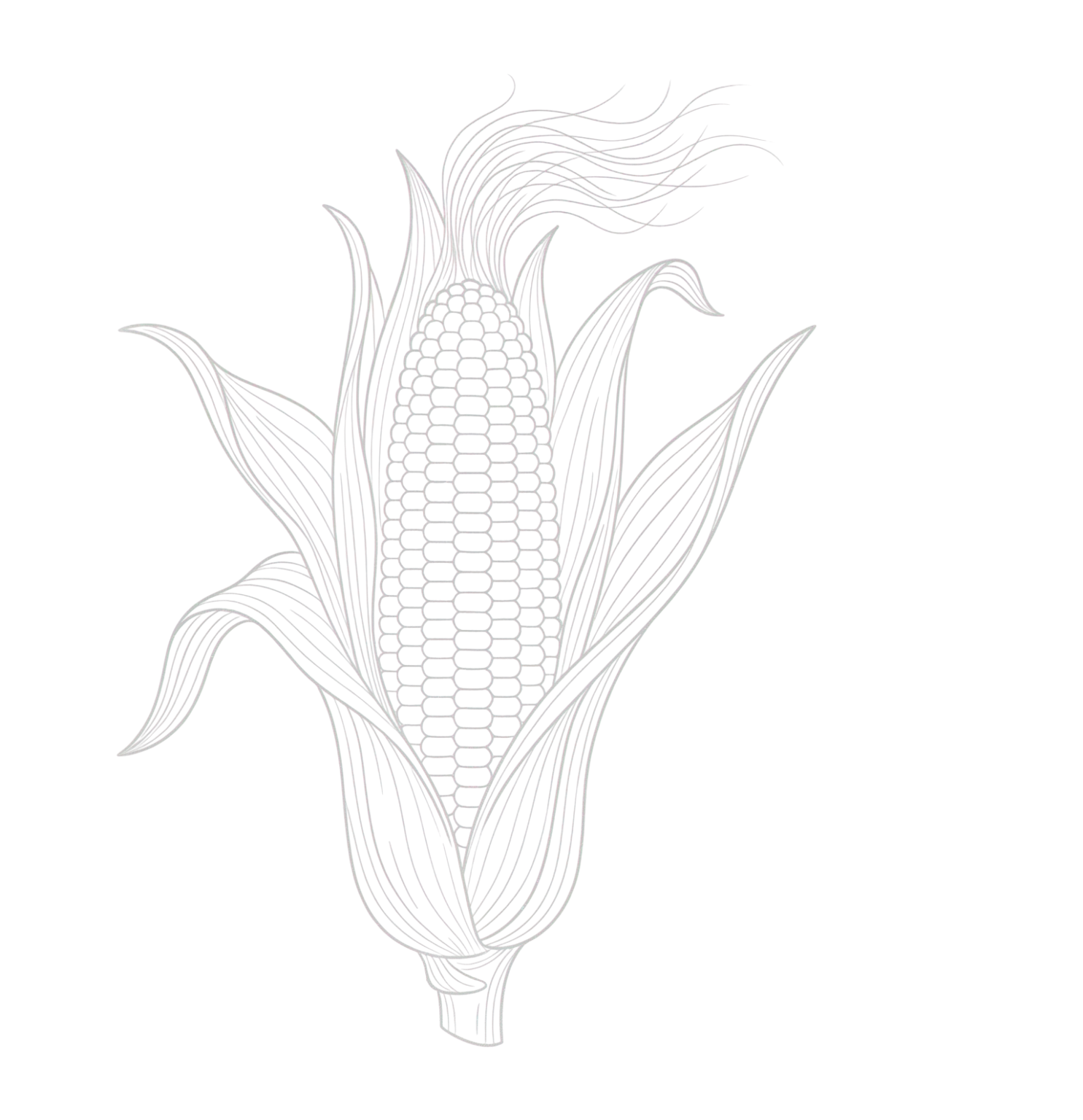 India's Favourite Maize Poha